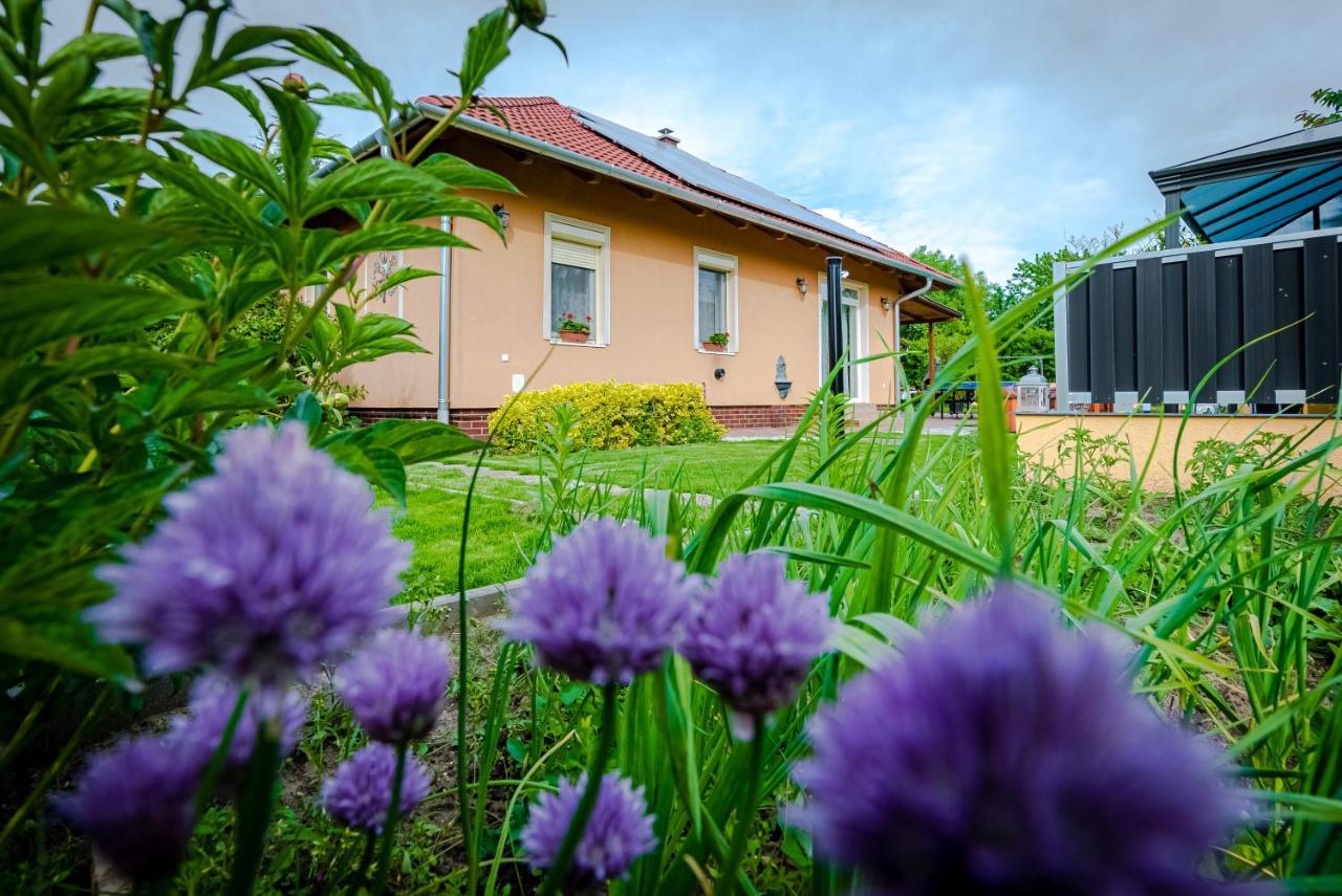 Sunny Garden Pihenohaz Villa Siofok Exterior photo