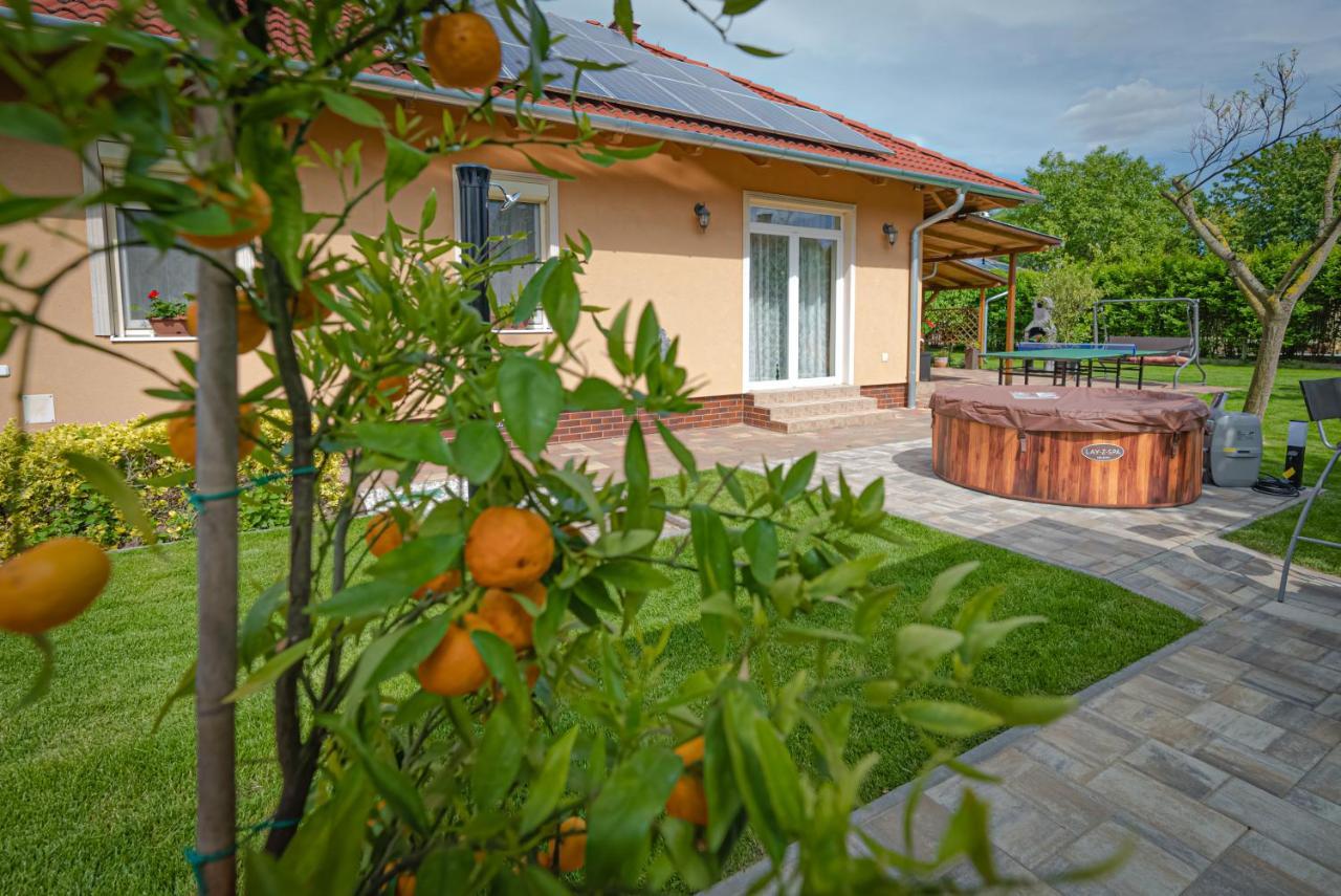 Sunny Garden Pihenohaz Villa Siofok Exterior photo